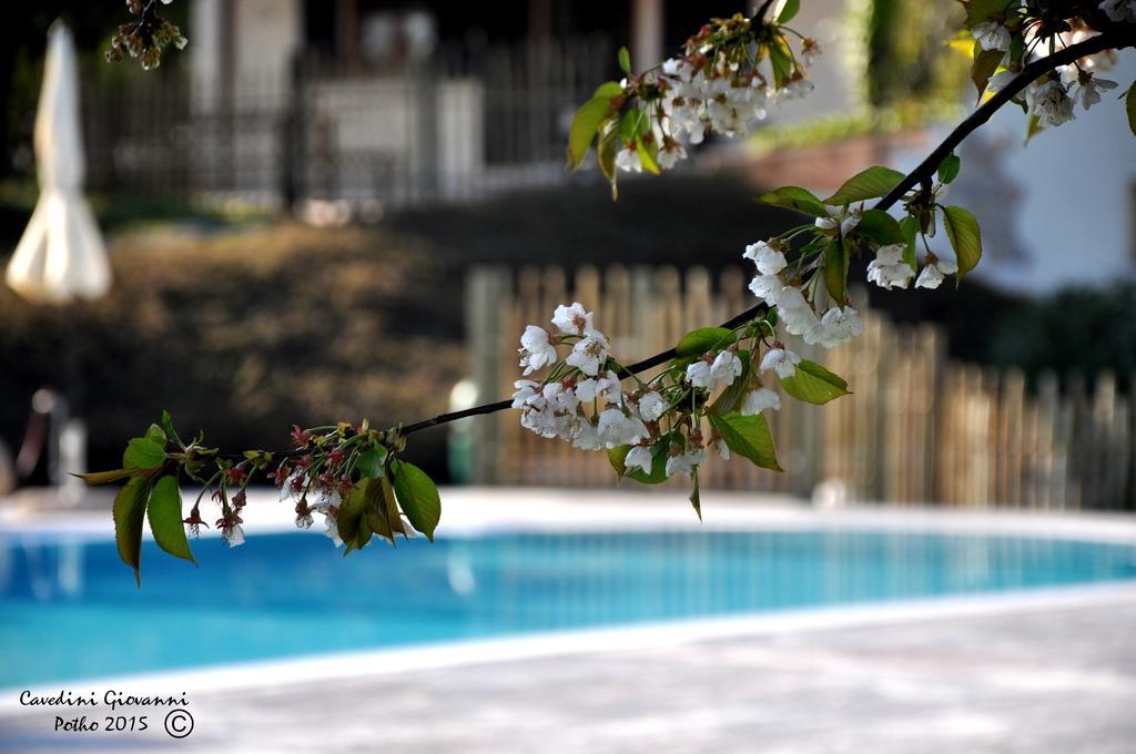 Agriturismo & Agricamping Serena ปาสเตร็งโก ภายนอก รูปภาพ